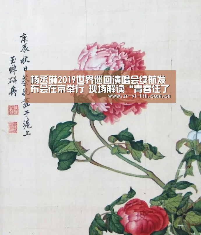 杨丞琳2019世界巡回演唱会续航发布会在京举行 现场解读“青春住了谁“!【华体会登陆】(图2) hth平台
