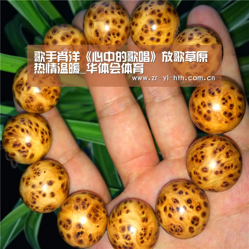 歌手肖洋《心中的歌唱》放歌草原热情温暖_华体会体育(图3) 华体会登陆