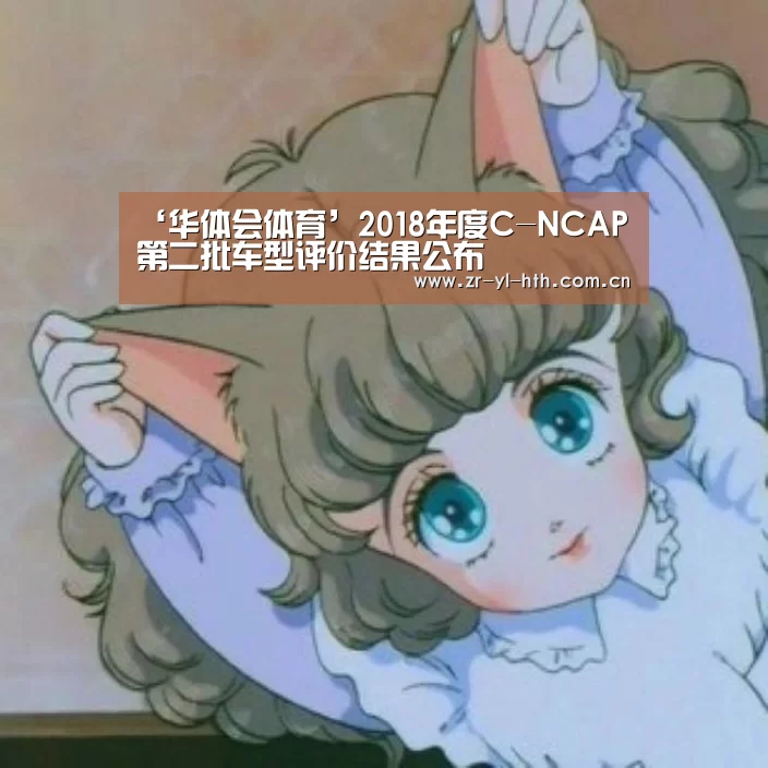 ‘华体会体育’2018年度C-NCAP第二批车型评价结果公布(图3) 体育赛事