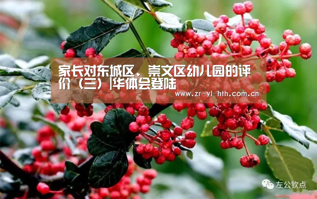 家长对东城区、崇文区幼儿园的评价(三)|华体会登陆(图3) 华体会登陆