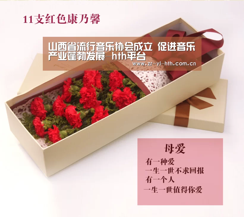 山西省流行音乐协会成立 促进音乐产业蓬勃发展-hth平台(图1) 体育赛事