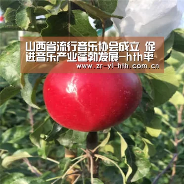 山西省流行音乐协会成立 促进音乐产业蓬勃发展-hth平台(图4) 华体会体育